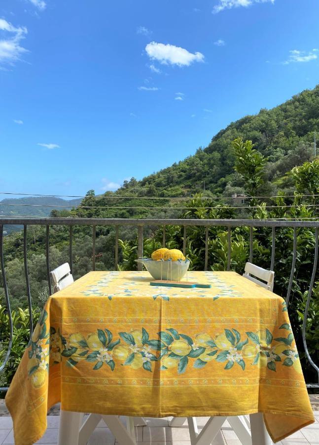 Apartment Le Della Lizza - Casa Gialla *